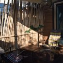 올랑고디또 이미지