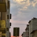 반성큰마트 | 피렌체 마트 추천ㅣGiostra Del Gusto 쿠키 구매 후기