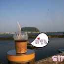성산코지