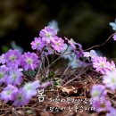 (주)르노코리아사상정비사업소 | 3월 25일 News Brifing