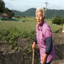 지내마을회관 이미지