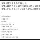 헤어스토리(hair story) 이미지