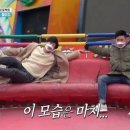 디스코팡팡 이미지