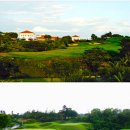 홍이 골프 이미지