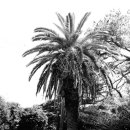 걸매축구장 인조잔디구장 이미지