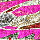 산청군청 | 산청꽃잔디축제 기간 언제? 4월 방문 타이밍 완벽 정리