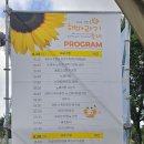 제주시 창민요 | 제주 해바라기 명소 영천동 해바라기 축제 후기, 서귀포 가볼 만한 곳 주차 불꽃놀이