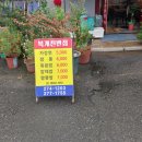 복개천반점