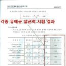 (알에스퀸 이미지
