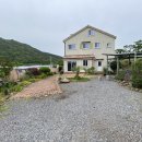 이레올래 이미지