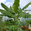 견우농장 이미지