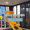 레드앤풀 네이버블로그
