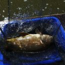 어부바낚시까페 이미지