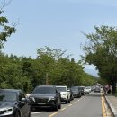 한국도로공사 전주 수목원 - 장미 축제 (5월 28일은 임실N장미축제)