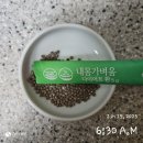 배변 활동에 도움되는 가르시니아 차전자피 식이섬유 내몸가벼움 다이어트환 추천 후기