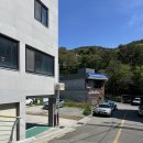 도원참치물회 | 영도 도원참치물회 솔직후기 참치듬뿍 가성비 영도 물회 맛집 참치물회