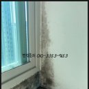 서천효성 | 용인 서천효성해링턴 곰팡이 락스말고 탄성코트로 해결해드릴게요