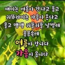 평양에서 이미지