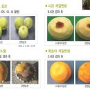 흥농(주)농업회사법인 이미지