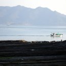 고성자연사박물관 이미지