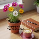 대명 행정사사무소 이미지