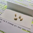 [자궁수술 후기] 차병원 입원 6일차 - 먹고 자고 걷고 쉬기