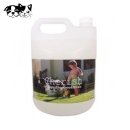 체리쉬퍼피 이미지