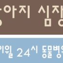 백호동물병원 이미지