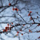 금호동 장미아파트 이미지