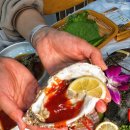 큰바다회수산 이미지