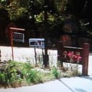 표선 교차로 4 이미지