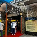 천곡황금박쥐동굴 | 동해시 천곡 황금박쥐 동굴 방문 후기