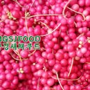 문경새재푸드 이미지