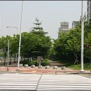 자전거 도로 이미지