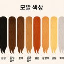채원미용실 - 정읍시 원한교3길 3 | 채원미용실