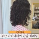 부산 동래 사직동 미용실 다비다헤어 단발히피펌 후기