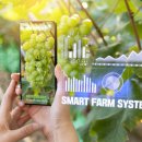 스마트행정사 이미지