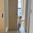 린덴스튜디오