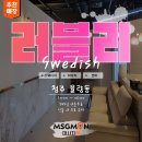 러블리스웨디시