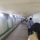 수색동 380-1 이미지
