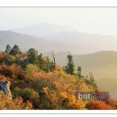 남해제일고등학교 이미지