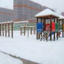 언주초등학교 이미지