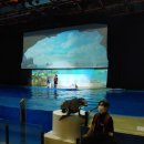 관광단지 라온 이미지