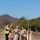 청춘 이미지