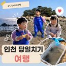 GS25연안해변점 | 인천 선녀바위 해수욕장 물때표 해루질 당일치기 아이랑
