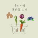 완주땅콩