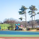 영강체육공원길 이미지