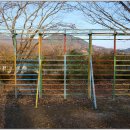 북부초등학교 이미지