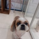 소룡미용실