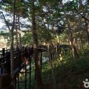 (주)여행자클럽 이미지